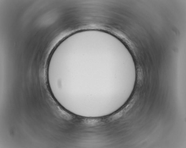 X0000110741278200907271054