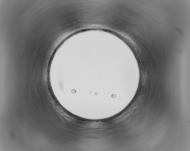 X0000110741279200907271054
