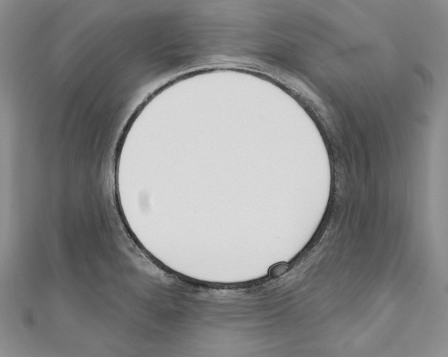 X0000110741280200907271054
