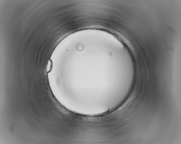 X0000110741281200907271054