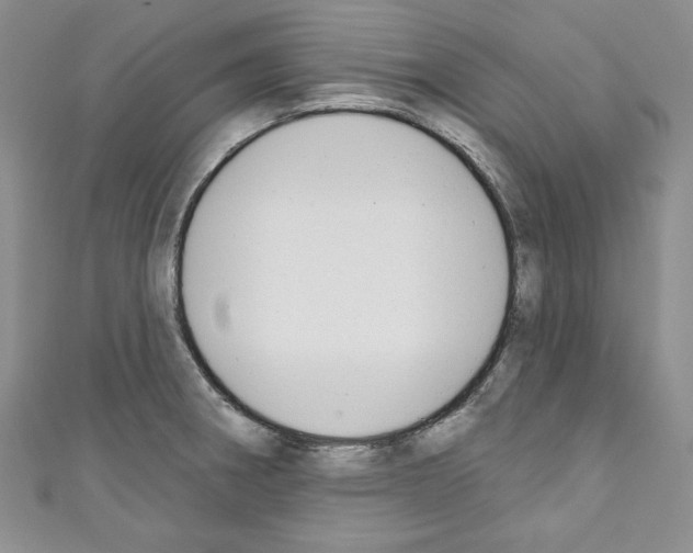X0000110741282200907271054