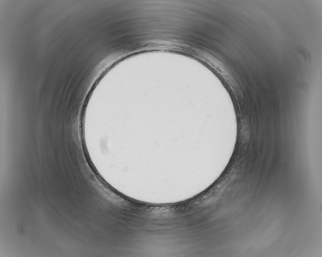 X0000110741283200907271054
