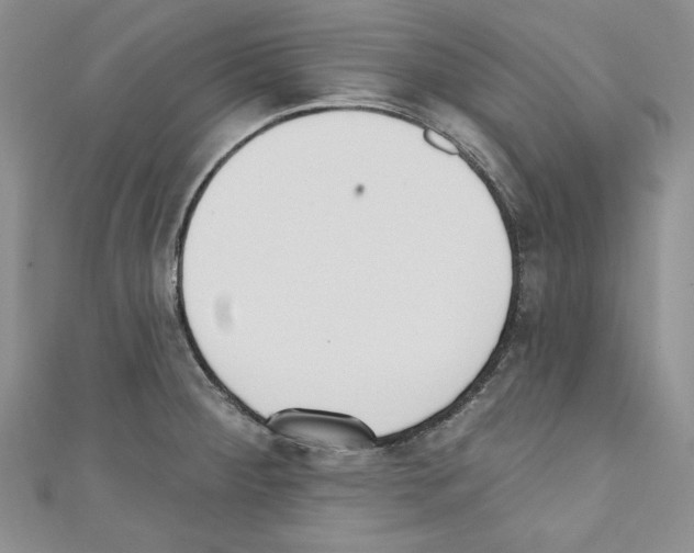 X0000110741284200907271054