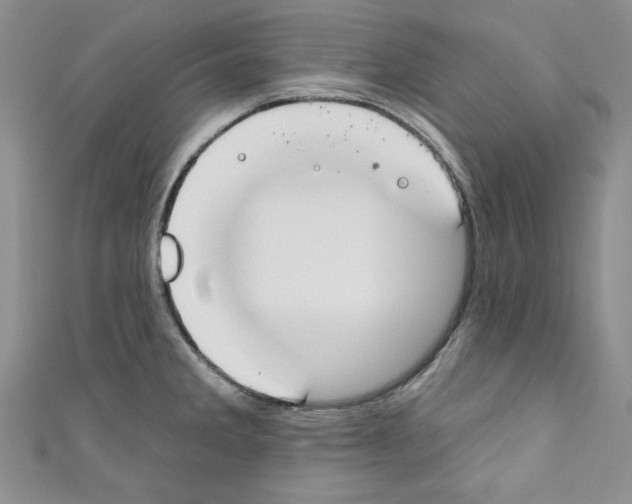 X0000110741285200907271054