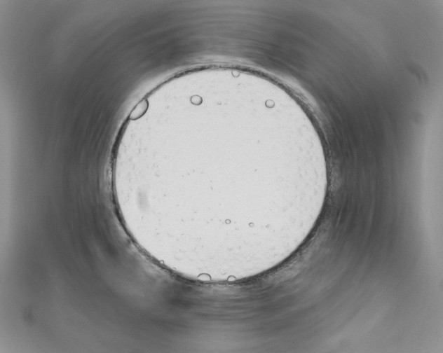 X0000110741287200907271054
