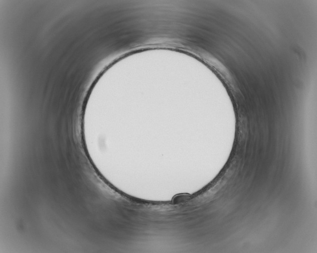 X0000110741288200907271054