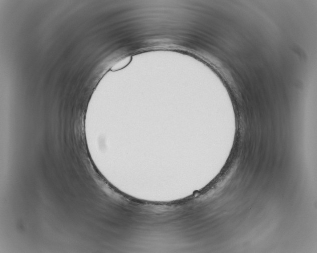 X0000110741289200907271054