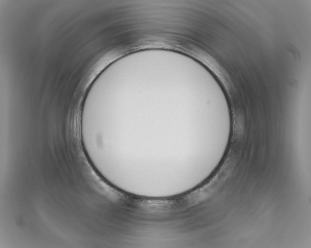 X0000110741290200907271054