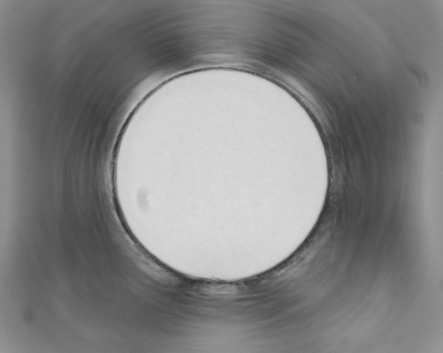 X0000110741291200907271054