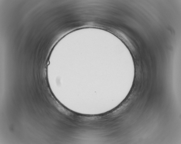 X0000110741292200907271054