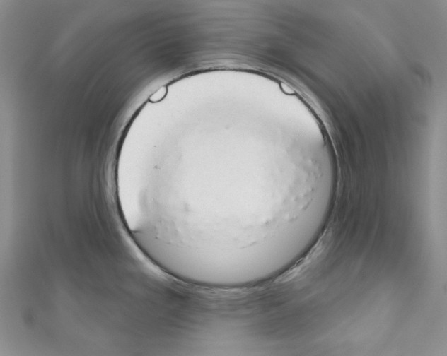 X0000110741293200907271054