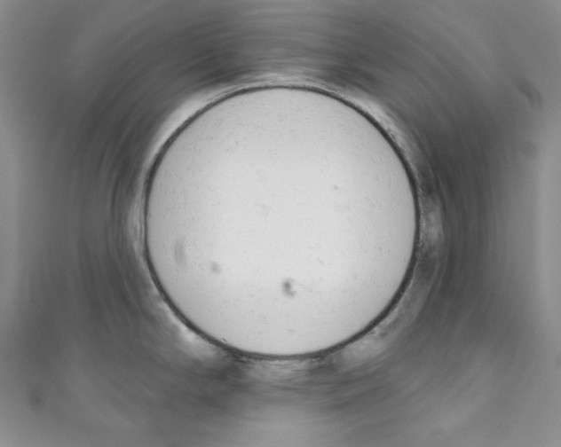 X0000110741294200907271054