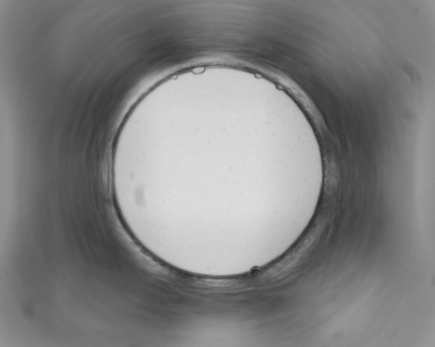 X0000110741295200907271054