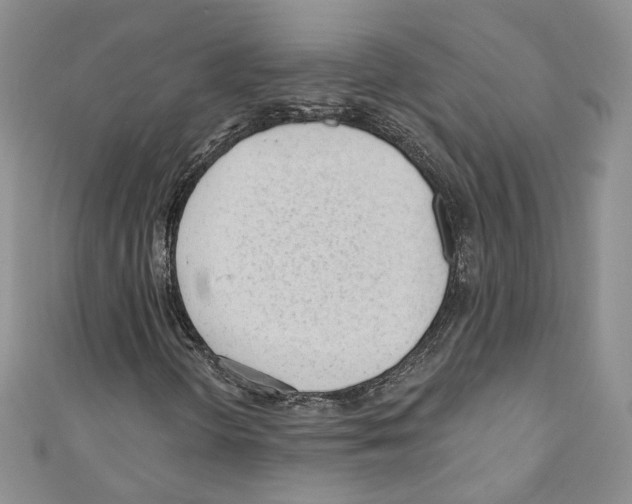 X0000110741298200907271053