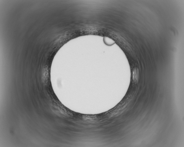 X0000110741299200907271053
