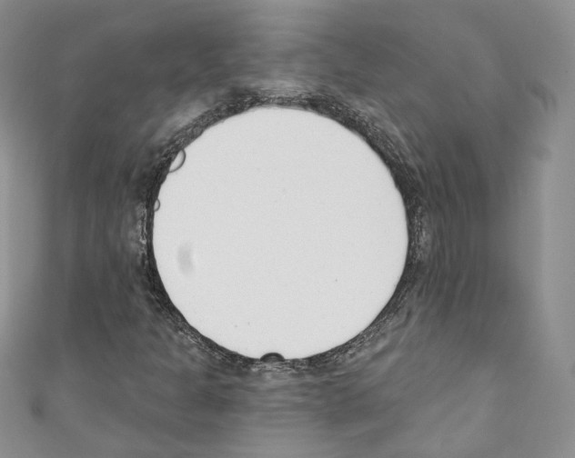 X0000110741301200907271053