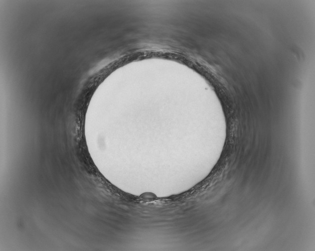 X0000110741303200907271053
