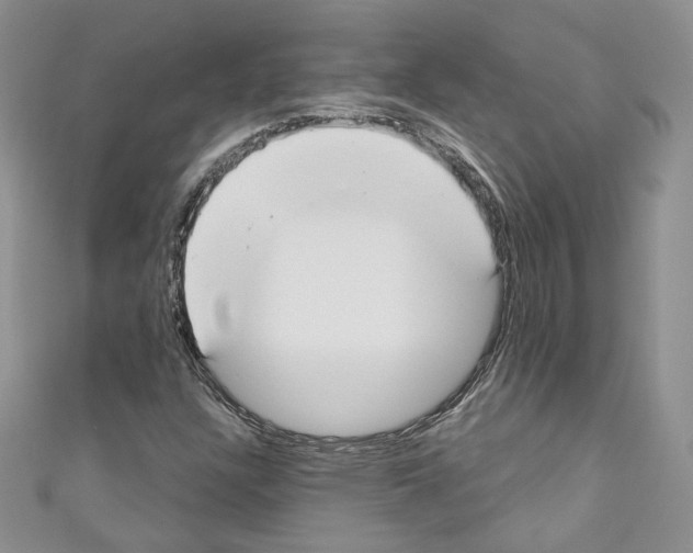 X0000110741304200907271053