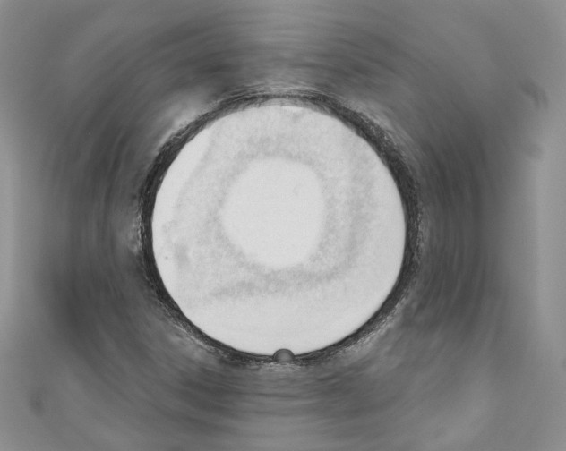 X0000110741306200907271053
