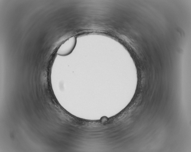 X0000110741307200907271053