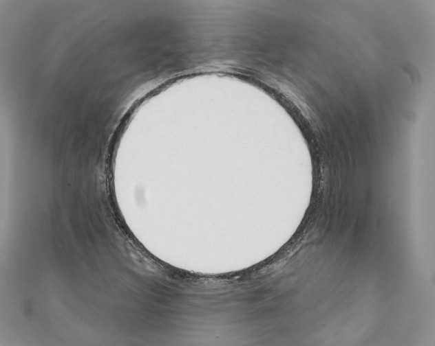X0000110741308200907271053