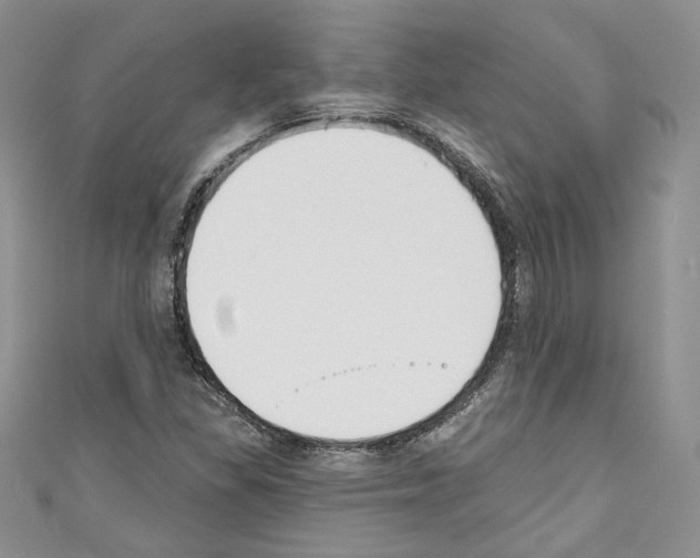 X0000110741309200907271053