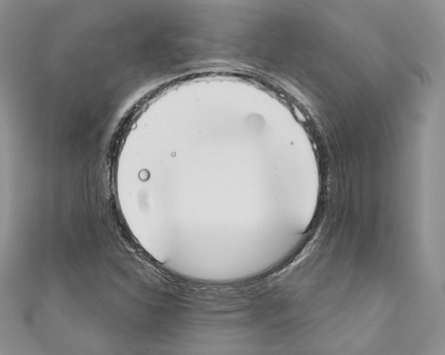 X0000110741310200907271053
