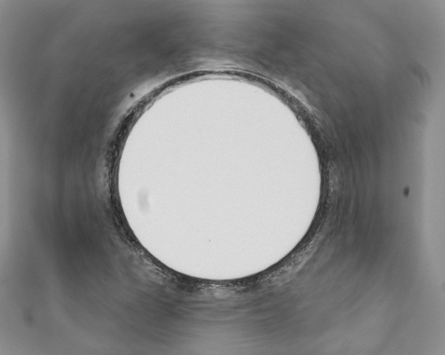 X0000110741311200907271053