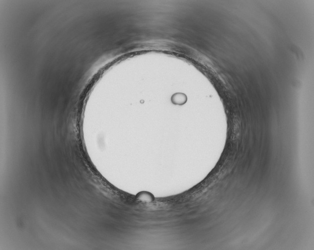 X0000110741312200907271053
