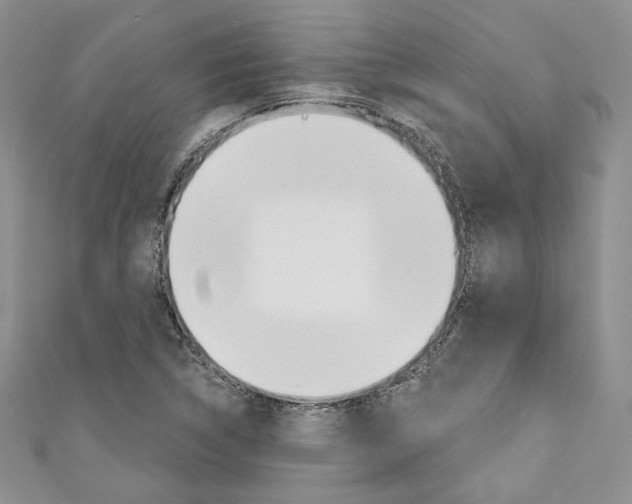X0000110741314200907271053