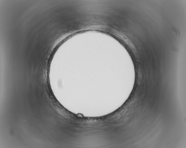 X0000110741316200907271053