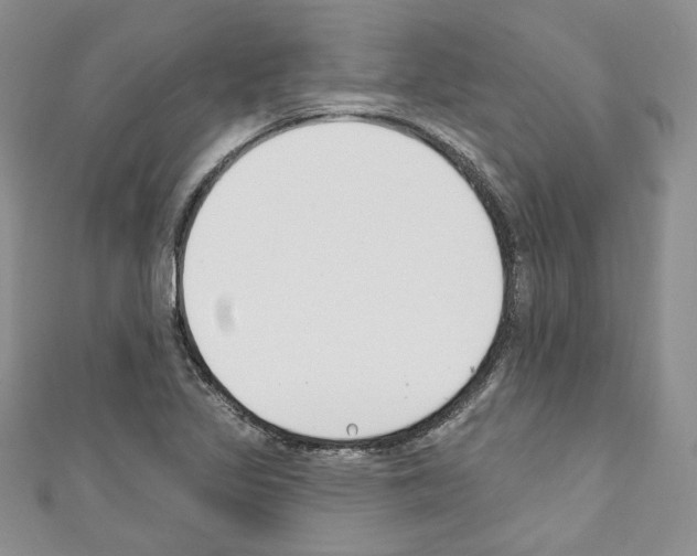 X0000110741317200907271053