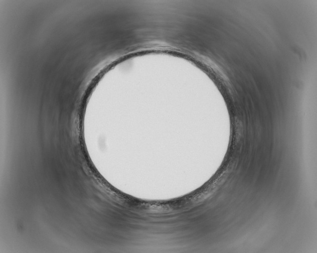 X0000110741318200907271053