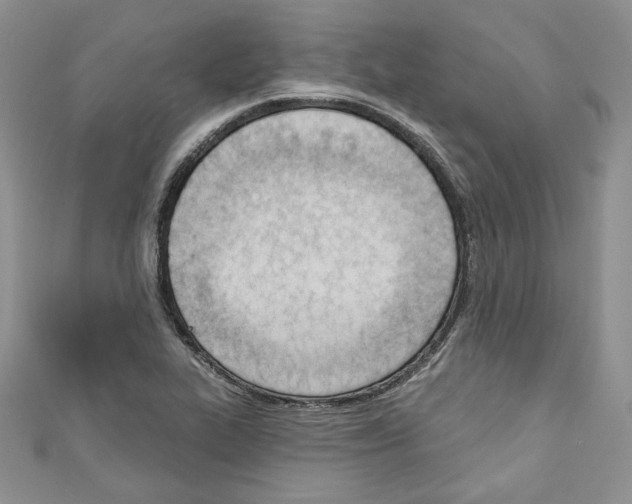 X0000110741319200907271053