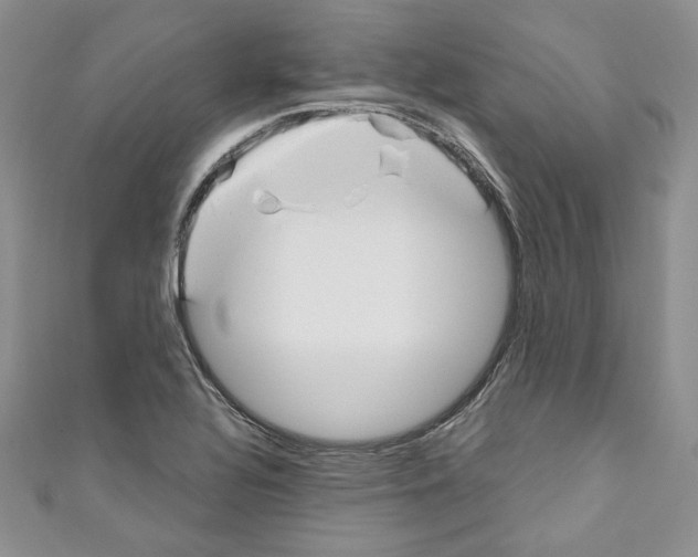 X0000110741320200907271053