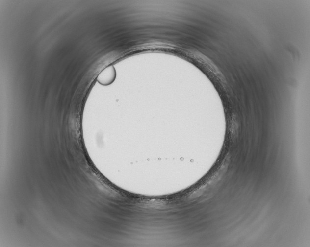 X0000110741321200907271053