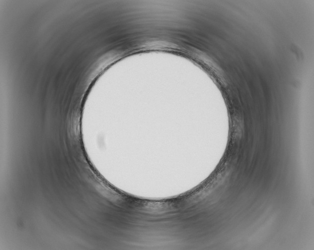 X0000110741322200907271053