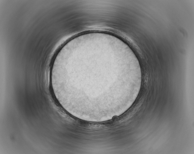X0000110741323200907271053