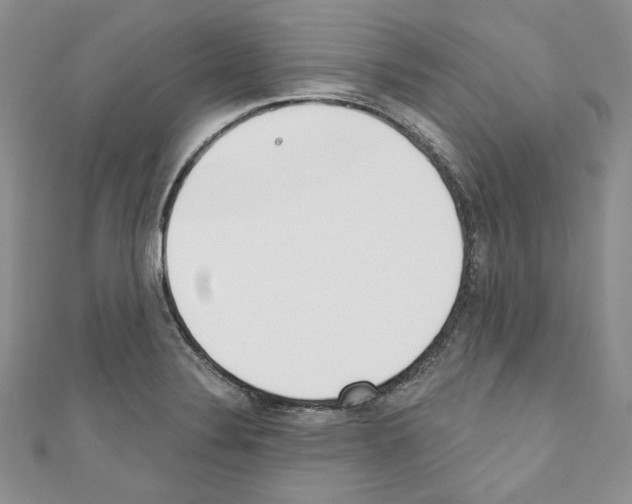X0000110741324200907271053