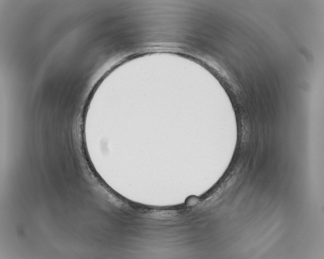 X0000110741325200907271053