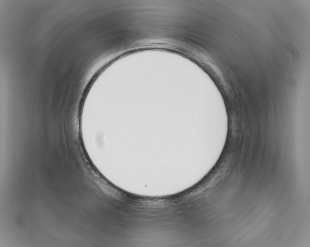X0000110741328200907271053