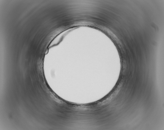 X0000110741329200907271053