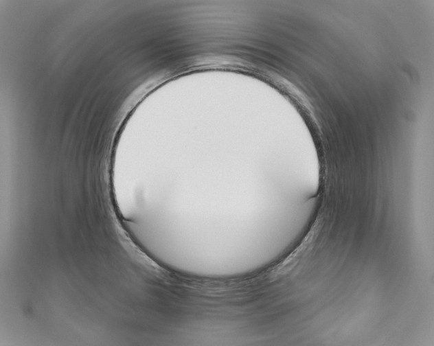 X0000110741330200907271053