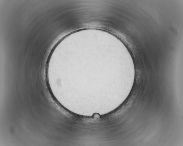 X0000110741331200907271053