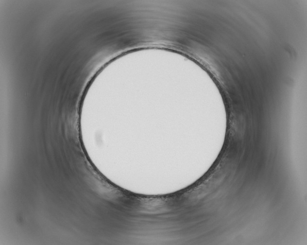 X0000110741332200907271053