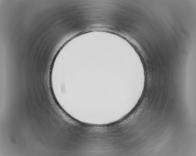 X0000110741333200907271053