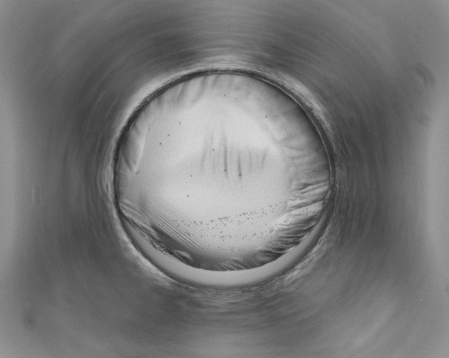 X0000110741334200907271053