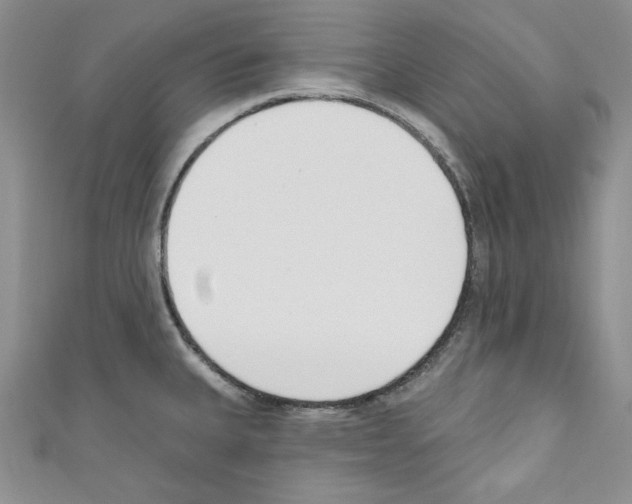 X0000110741335200907271053
