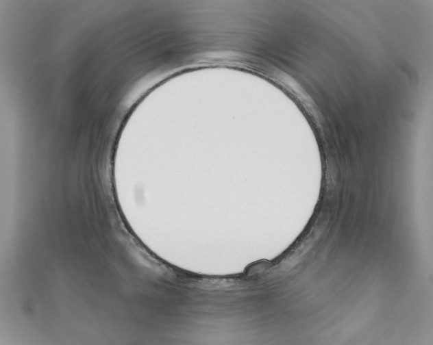 X0000110741336200907271053