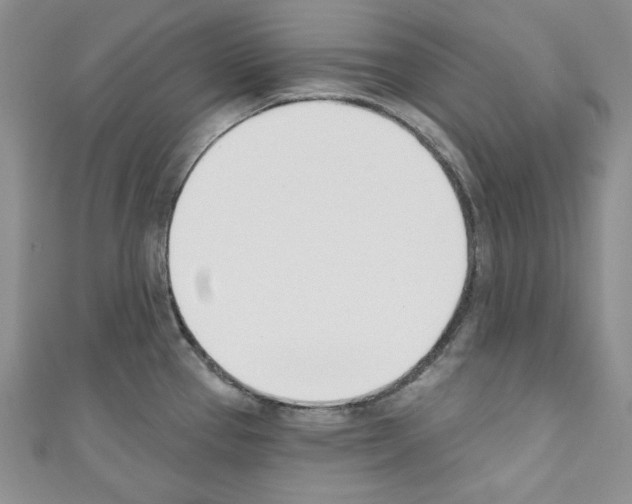 X0000110741337200907271053